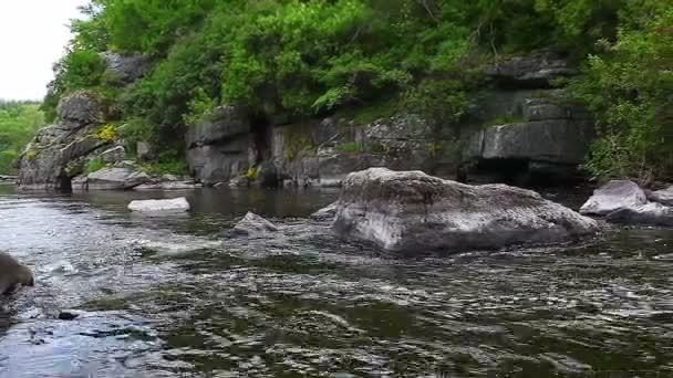 Río de montaña — Vídeo de stock