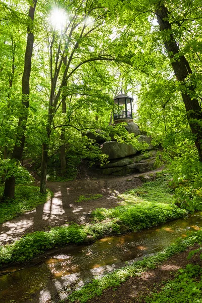 Bosque verde y río — Foto de Stock