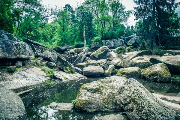 Лес и река с большими камнями — стоковое фото