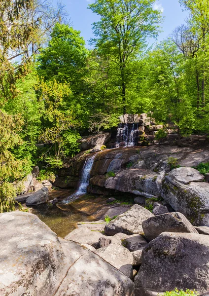 Bos met een waterval — Stockfoto