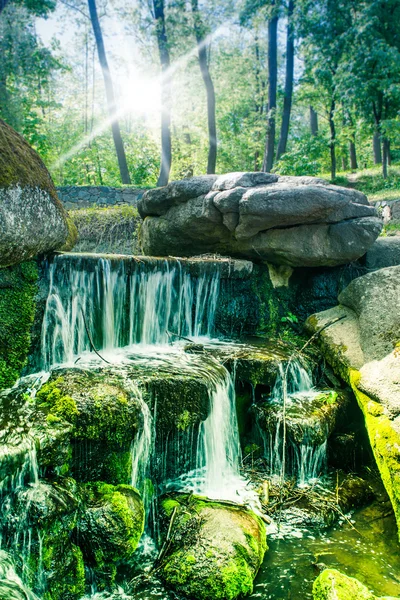 Зеленый лес с водопадом — стоковое фото