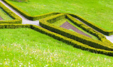 Bahçe kompozisyon yakın çekim 