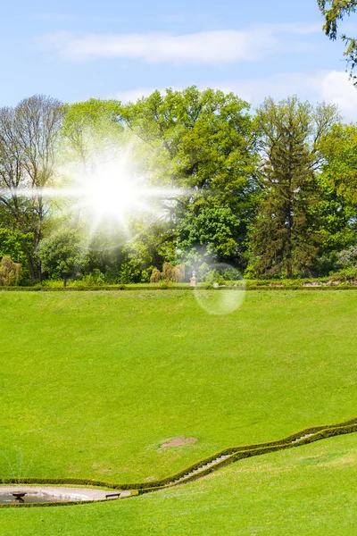 Vista de grama verde e árvores — Fotografia de Stock