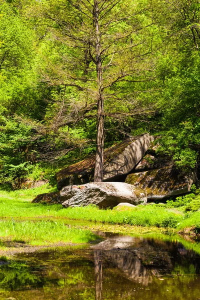 Árboles verdes con grandes piedras y lago — Foto de Stock