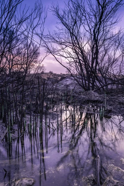 's avonds landschap — Stockfoto