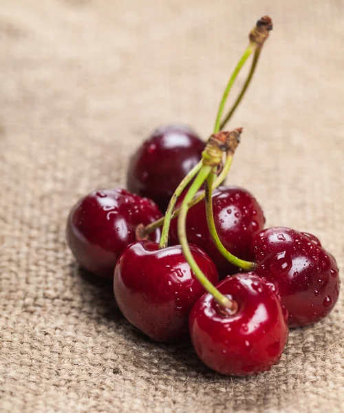 Rijpe sappige cherry close-up — Stockfoto