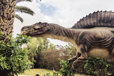 Antik soyu tükenmiş dinozor spinosaurus