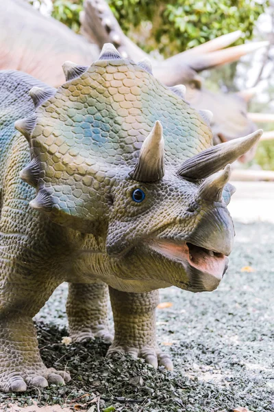 Tricerátopos de dinossauros — Fotografia de Stock