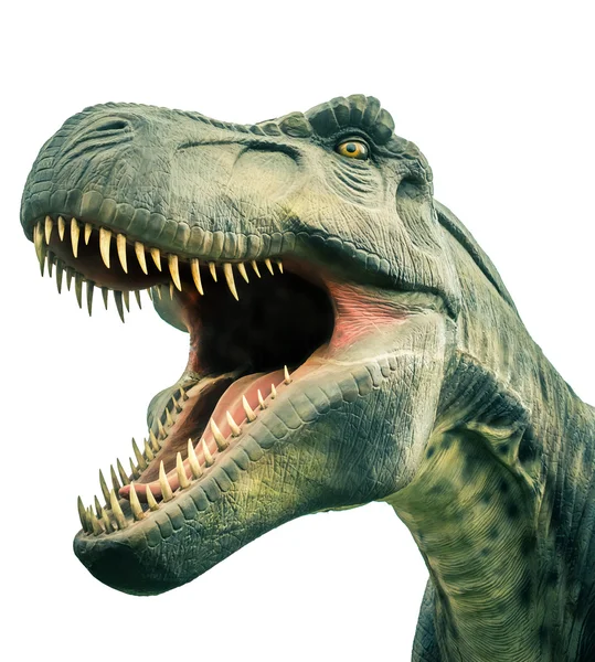 Head ancient dinosaur tyrannosaurus — Stock Photo, Image