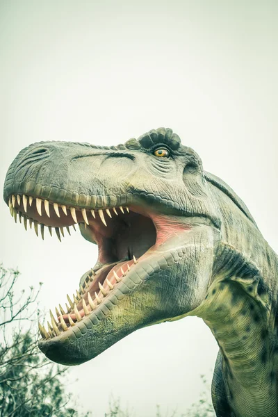 Head ancient dinosaur tyrannosaurus — Stock Photo, Image