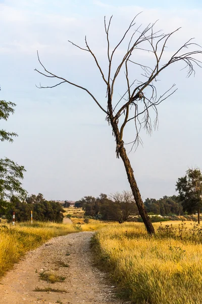 Asfaltsız yol — Stok fotoğraf