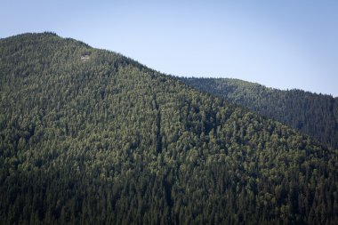 Karpatlar manzarada yaz