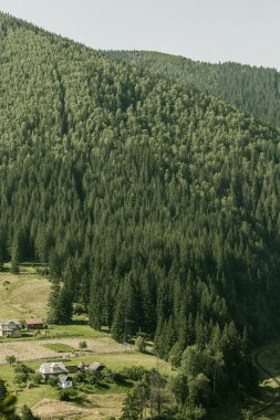 kırsal dağ manzarası 