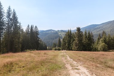 kırsal dağ manzarası 