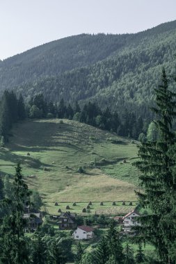 Karpatlar manzarada yaz