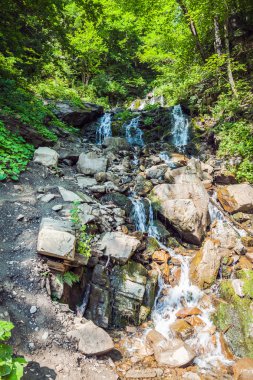 Karpat Dağlarında Şelale