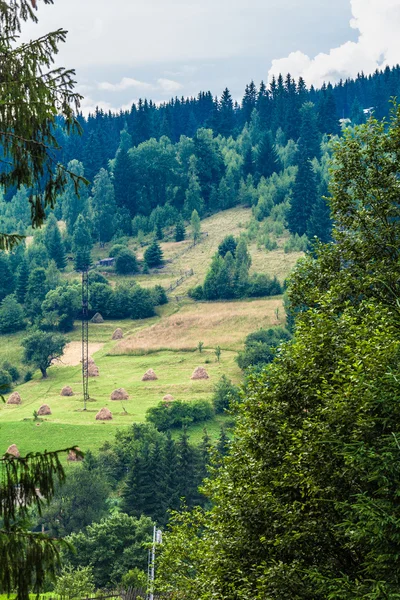 Paisaje rural de montaña en Cárpatos — Foto de Stock
