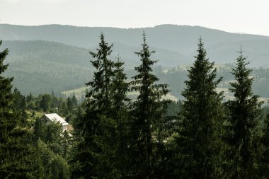 Karpatlar manzarada yaz