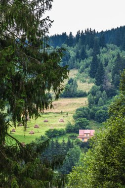 kırsal dağ manzarası 
