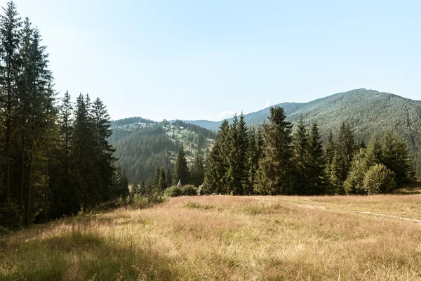 kırsal dağ manzarası 