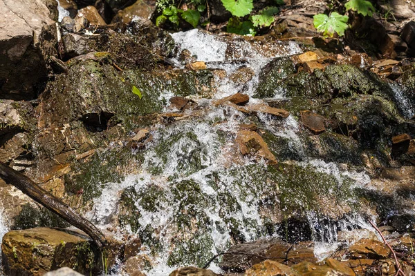 waterfall in the Carpathian mountains