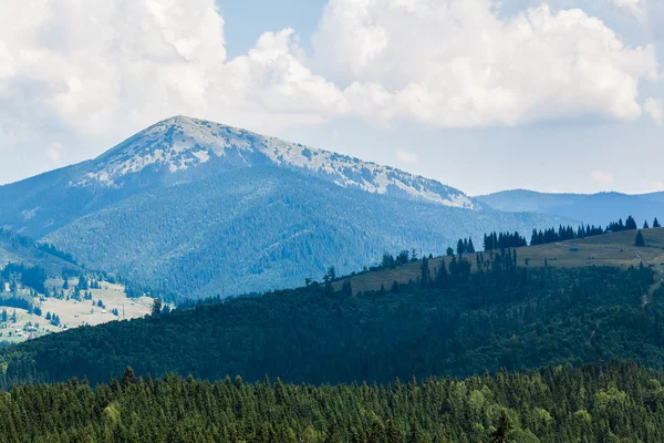 Karpatlar manzarada yaz