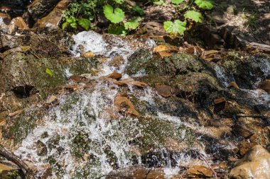 Karpat Dağlarında Şelale
