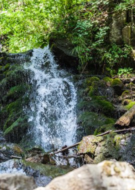 Karpat Dağlarında Şelale