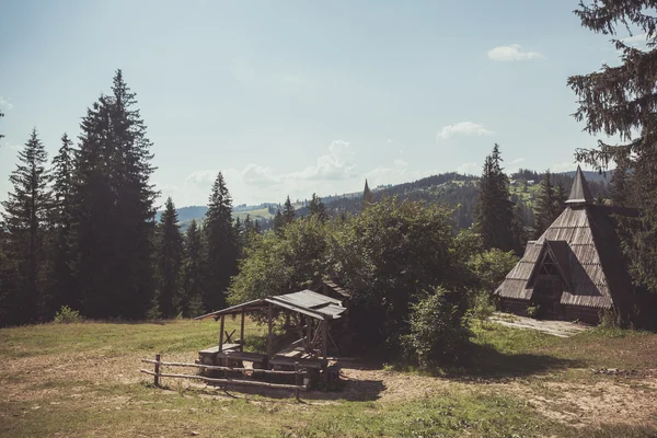 Haus im Karpatenwald — Stockfoto