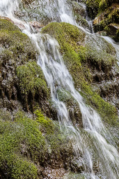 Cachoeira nas montanhas dos Cárpatos — Fotografia de Stock