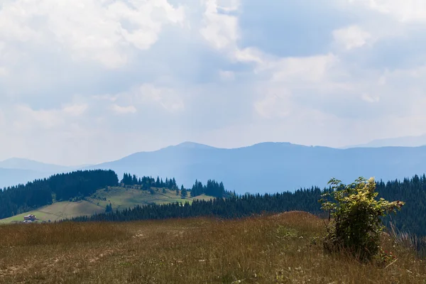 Sommerlandschaft in den Karpaten — Stockfoto