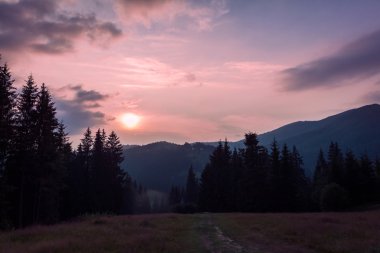 Karpatlar akşam peyzaj