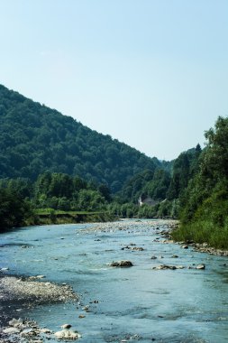 manzara dağ Nehri