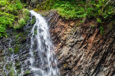 Karpat Dağlarında Şelale