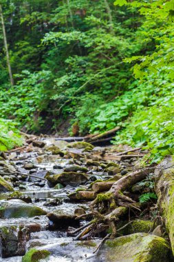 Karpat Dağlarında Şelale