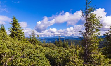Karadağ Ridge'de Karpatlar