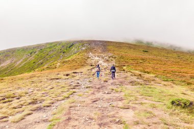 Turistler Hoverla tepesine tırmanmak 
