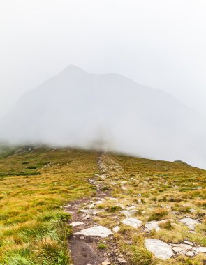 Goverla dağın görüntülemek