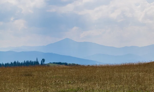 Paisaje de verano en Cárpatos — Foto de Stock