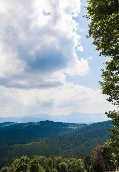 Zomer landschap in de Karpaten — Stockfoto