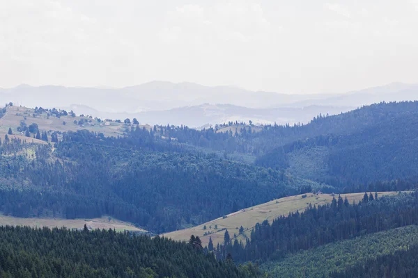Paisagem de verão em carpathians — Fotografia de Stock