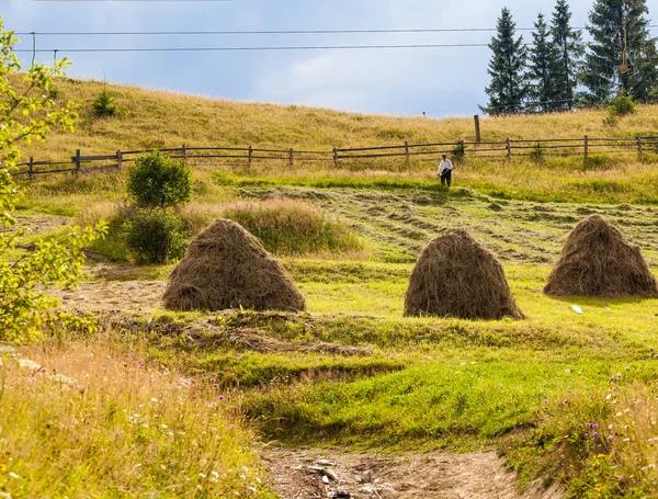 Gavillas de heno en los Cárpatos — Foto de Stock