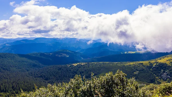 Montenegrin ridge in Carpathians — Stock Photo, Image