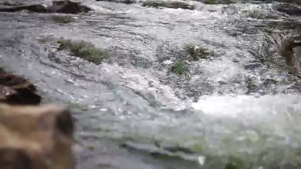 Речной поток — стоковое видео