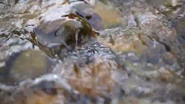 Rivière de montagne