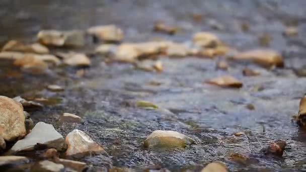 Corriente del río — Vídeo de stock