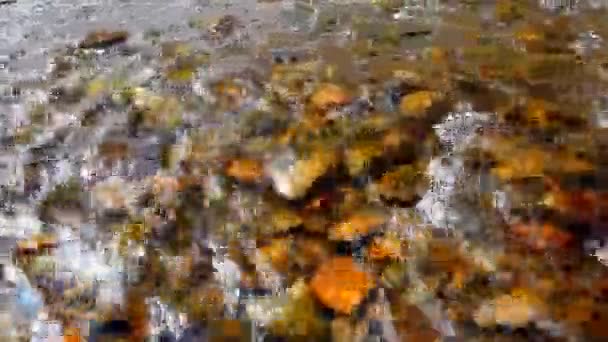 Nehrin akış — Stok video