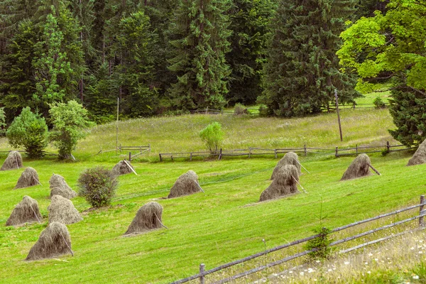 Landelijk landschap — Stockfoto