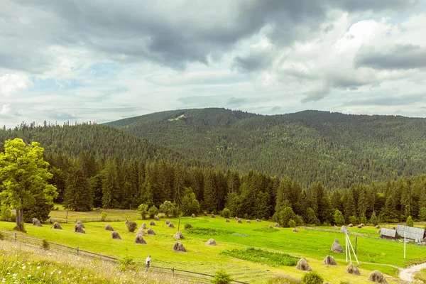 Ländliche Landschaft — Stockfoto