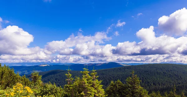 Montenegrin ridge in Carpathians — Stock Photo, Image